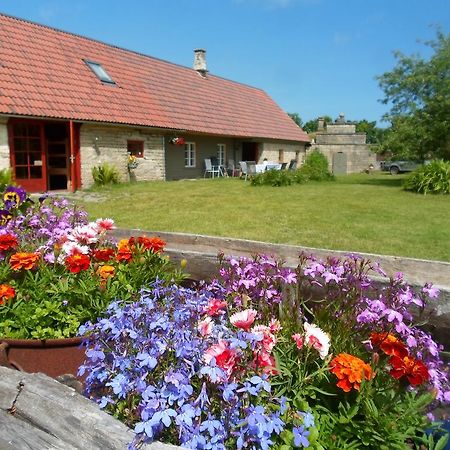 Ansumardi Farmstay Kavandi Extérieur photo