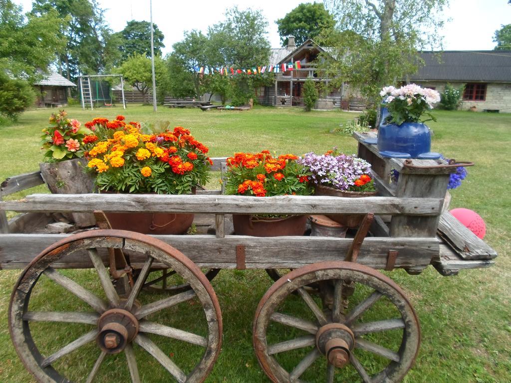 Ansumardi Farmstay Kavandi Extérieur photo