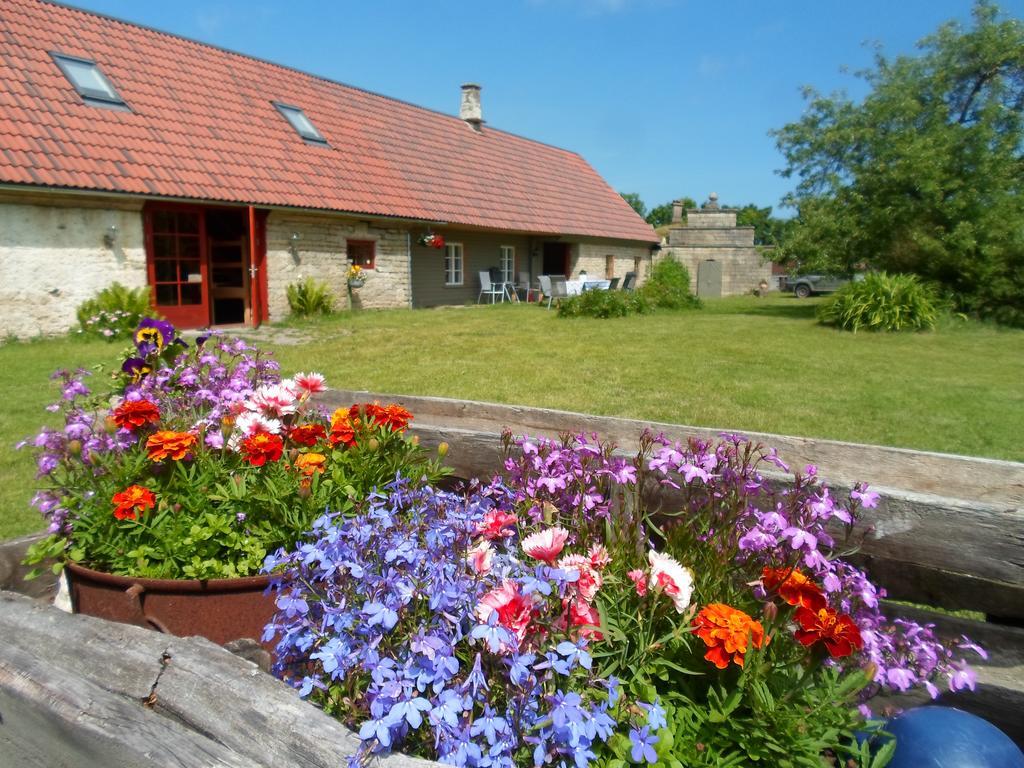 Ansumardi Farmstay Kavandi Extérieur photo