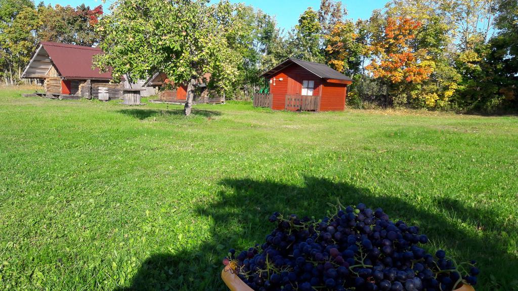 Ansumardi Farmstay Kavandi Extérieur photo